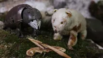 Still from film Ajjigiingiluktaaqtugut (We Are All Different)