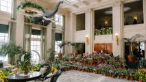 Photo of Dutch Connection, flowers on view throughout historic mansion
