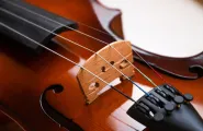 Violin